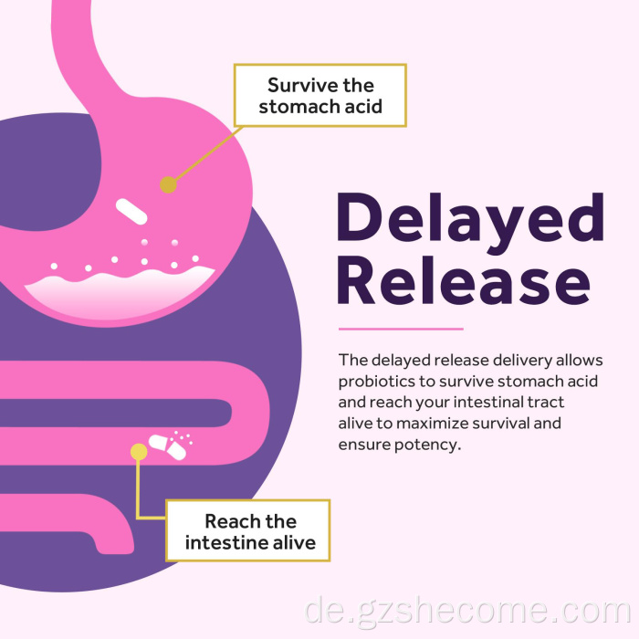 Probiotika -Kapseln für Frauen Verdauungsgesundheit Supplement